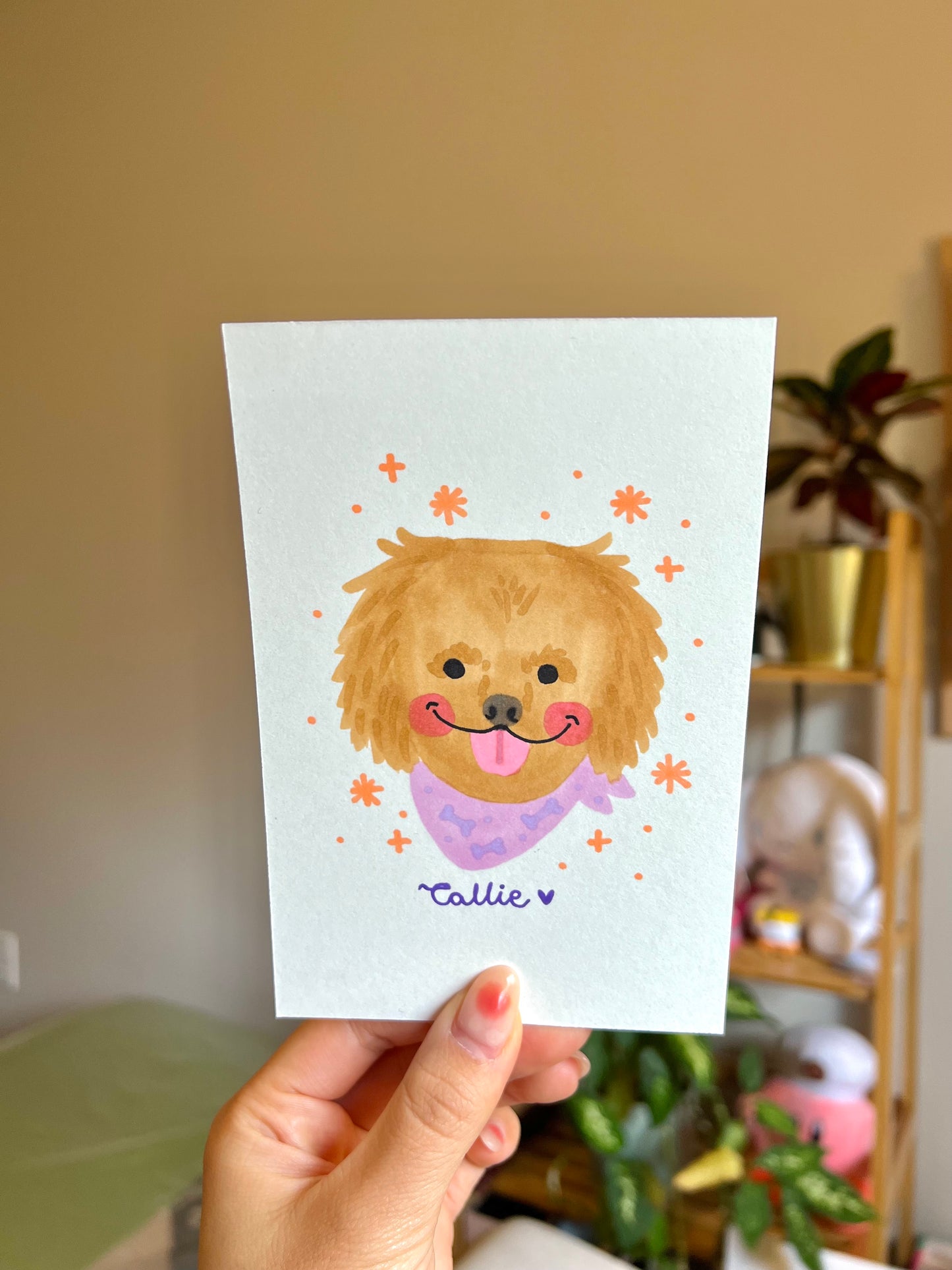 5-minute Pet Portrait