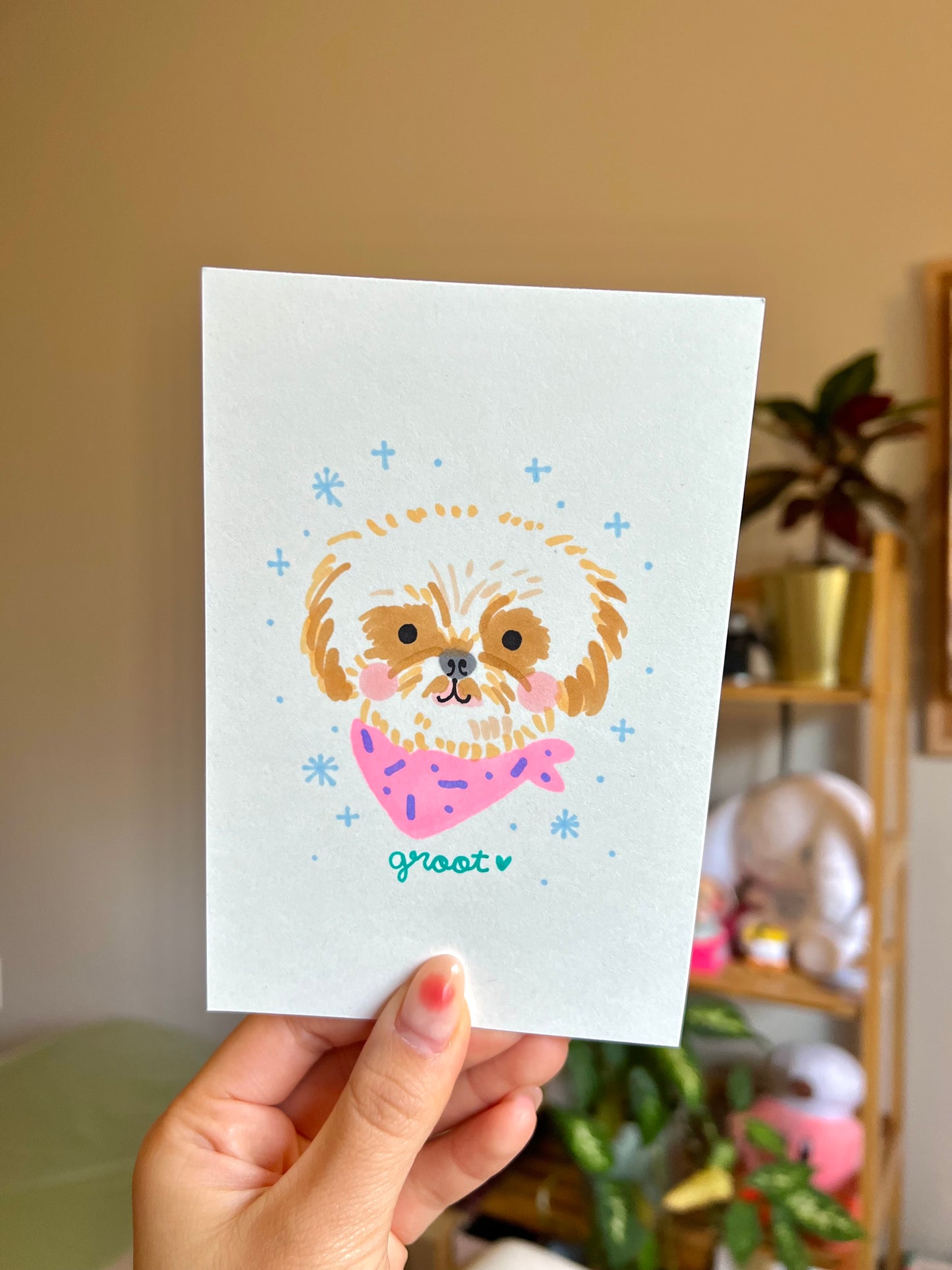 5-minute Pet Portrait