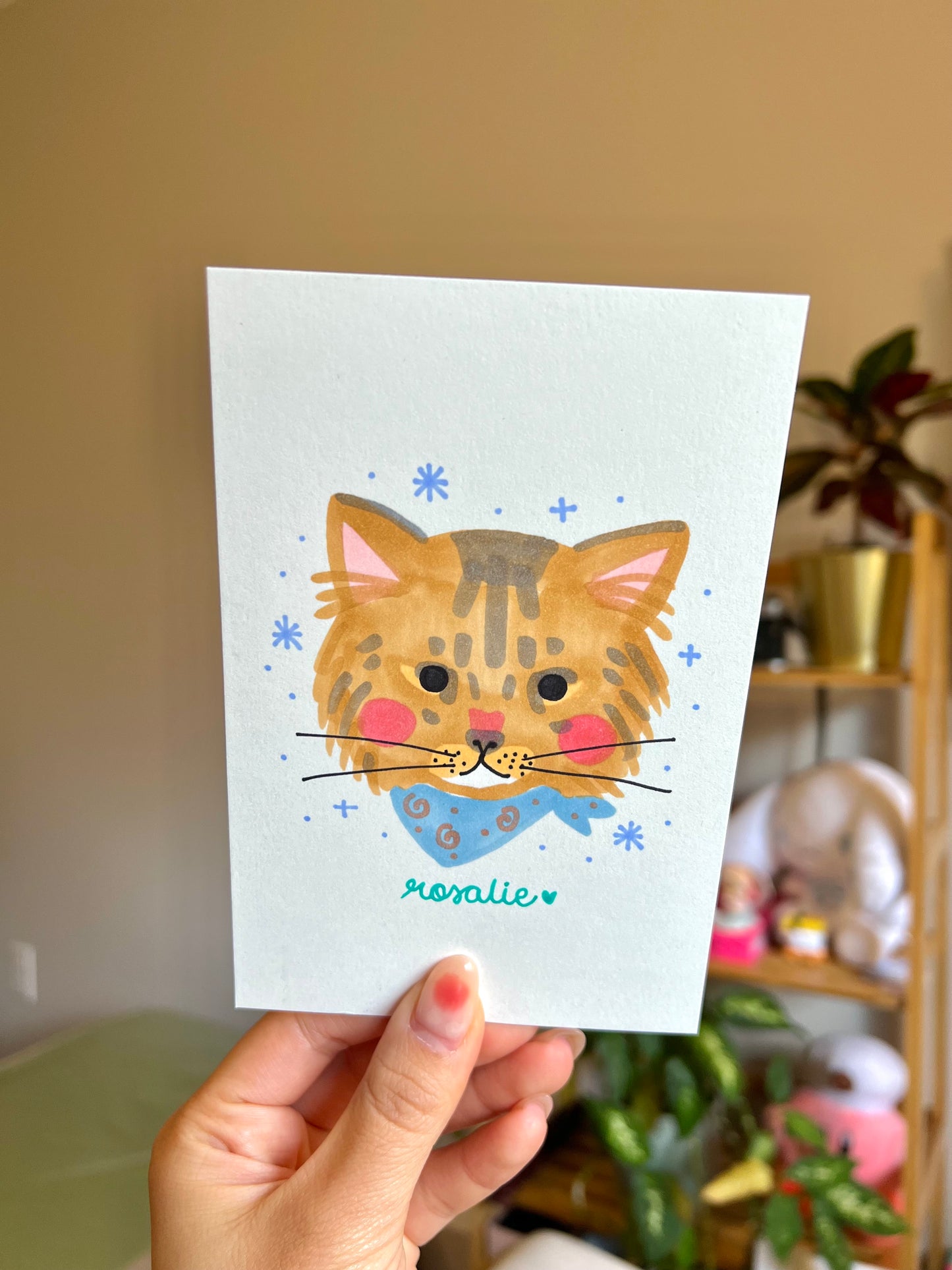 5-minute Pet Portrait